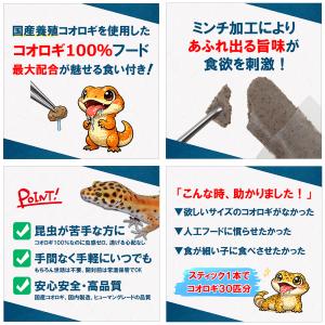 日本動物薬品 ニチドウ コオロギスティック 1...の詳細画像2