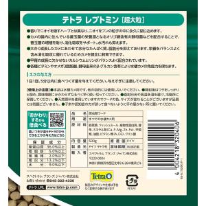 テトラ レプトミン 超大粒 500g×6 水棲...の詳細画像2