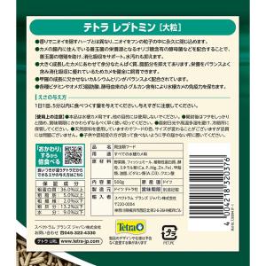 テトラ レプトミン 大粒 500g×6の詳細画像2