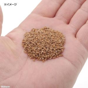 aquarium fish food seri...の詳細画像1