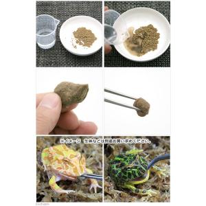 ツノガエル用フード 練り餌 「ff num30...の詳細画像1