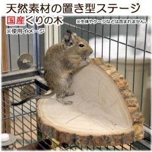 トレッドミルホイール大（約35cm）』 : SBSコーポレーション - 通販