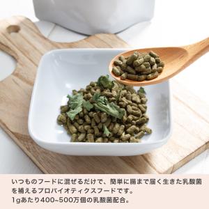 国産 うさぎの食事プレミアム 乳酸菌サプリメン...の詳細画像1