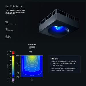 (大型)レッドシー MAX NANO G2 ペ...の詳細画像5