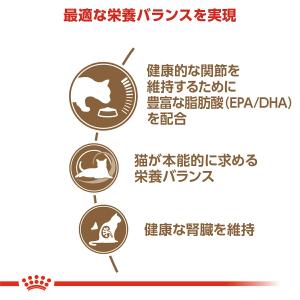ロイヤルカナン 猫 15歳以上の高齢猫用 エイ...の詳細画像2