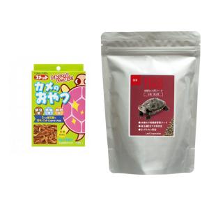 コメット　カメのおやつ　お徳用　８ｇ×５袋入り＋ニオイ・汚れを抑える　ｆｆ　ｎｕｍ６００　水棲カメ用　ペレット（浮上性）　２５０ｇ