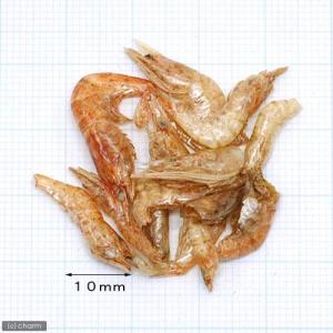 コメット カメのおやつ お徳用 8g×5袋入り...の詳細画像1