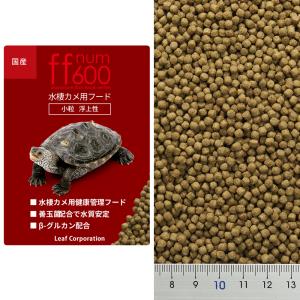 コメット カメのおやつ お徳用 8g×5袋入り...の詳細画像2