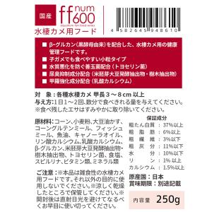 コメット カメのおやつ お徳用 8g×5袋入り...の詳細画像3