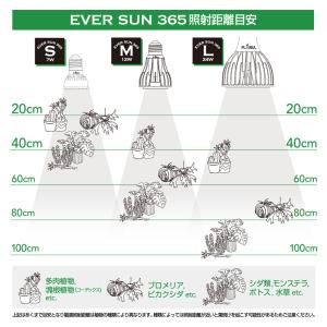 ゼンスイ 植物育成用ライト PLAAREA E...の詳細画像2