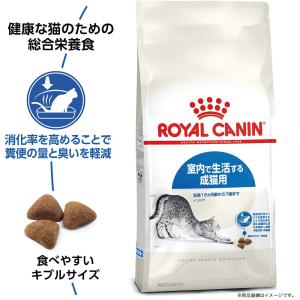 【ウェット2袋おまけ付】ロイヤルカナン 猫 イ...の詳細画像2