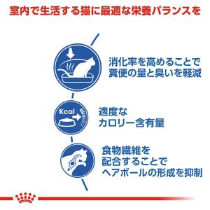 【ウェット2袋おまけ付】ロイヤルカナン 猫 イ...の詳細画像3