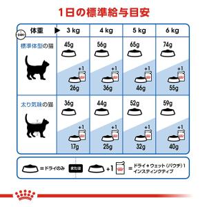 【ウェット2袋おまけ付】ロイヤルカナン 猫 イ...の詳細画像5