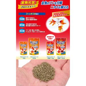 アウトレット品 GEX 金魚元気プロバイオフー...の詳細画像1