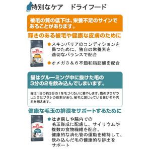 【ウェット2袋おまけ付】ロイヤルカナン 猫 メ...の詳細画像4