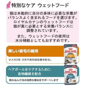 【ウェット2袋おまけ付】ロイヤルカナン 猫 メ...の詳細画像5
