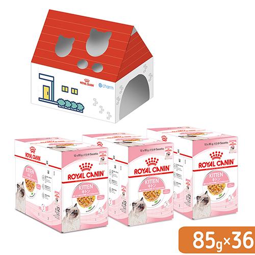 先行予約販売　ロイヤルカナン　子猫　キトン　ゼリー　成長後期の子猫用　８５ｇ×３６袋　お一人様１点限...