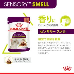 先行予約販売 ロイヤルカナン 猫 センサリース...の詳細画像5