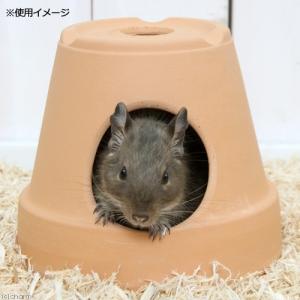 小動物のテラコッタハウス M 直径14cm 高...の詳細画像2
