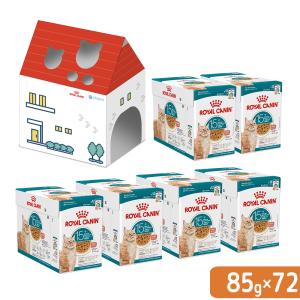 先行予約販売 ロイヤルカナン 猫 エイジング 1...の商品画像