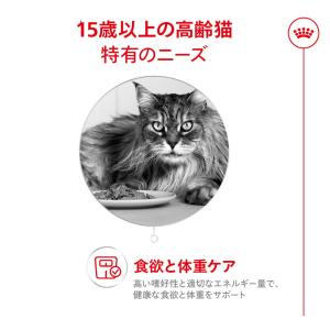 先行予約販売 ロイヤルカナン 猫 エイジング ...の詳細画像2