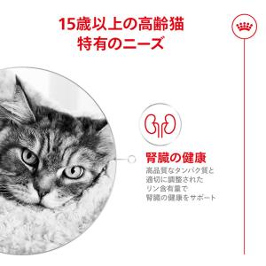 先行予約販売 ロイヤルカナン 猫 エイジング ...の詳細画像3