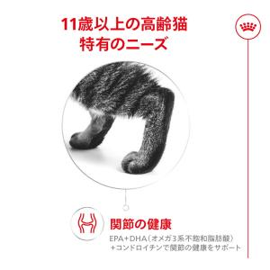ロイヤルカナン 猫 エイジング 11+ 11歳...の詳細画像2