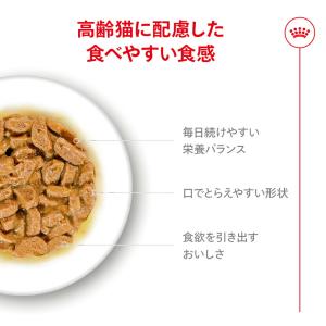 ロイヤルカナン 猫 エイジング 11+ 11歳...の詳細画像4