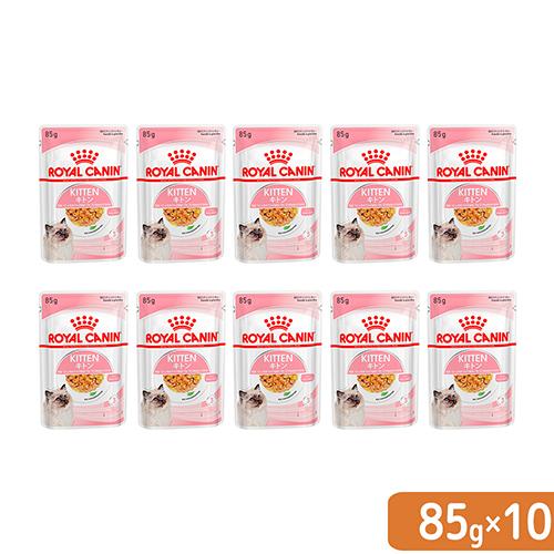 【送料無料】ロイヤルカナン　子猫　キトン　ゼリー　成長後期の子猫用　８５ｇ×１０袋　お一人様１点限り...