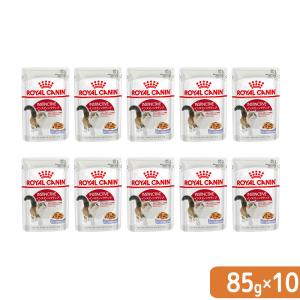 【送料無料】ロイヤルカナン　猫　インスティンクティブ　ゼリー　成猫用　８５ｇ×１０袋　お一人様１点限り　お試し