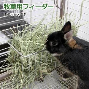 牧草用　フィーダー　エサ入れ　牧草入れ　うさぎ　モルモット　チンチラ｜チャーム charm ヤフー店