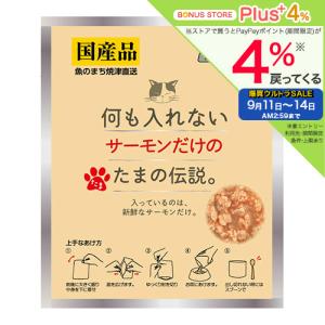 ＳＴＩサンヨー　何も入れないサーモンだけのたまの伝説　３５ｇ　パウチ