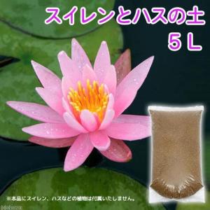 パッケージなし　スイレンとハスの土（５Ｌ）（水生植物専用培養土）　お一人様４点限り｜チャーム charm ヤフー店