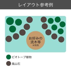 (ビオトープ)簡単ビオトープセット ビオ植物1...の詳細画像2