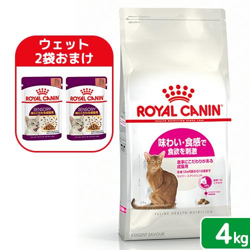 【ウェット２袋おまけ付】ロイヤルカナン　猫　セイバーエクシジェント　成猫用　４ｋｇ　３１８２５５０７...