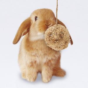 マルカン ポンポンフラワーの詳細画像1