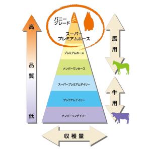 マルカン バニーグレードチモシー 550g う...の詳細画像3