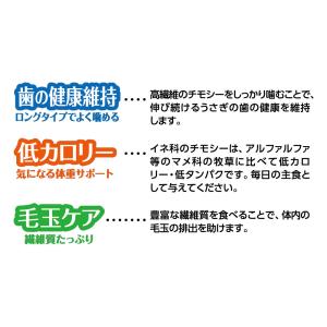 マルカン バニーグレードチモシー 550g う...の詳細画像5