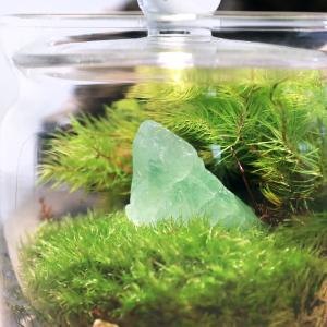 (観葉植物)苔テラリウム 鉱石レイアウト グリ...の詳細画像1