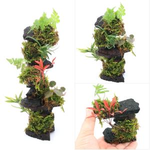 (観葉植物)巻きたておまかせ植物付きボルケーノ...の詳細画像1