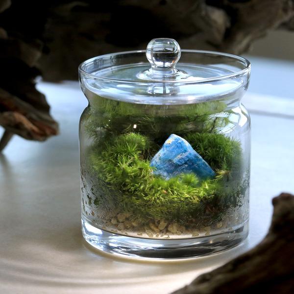 （観葉植物）苔テラリウム　鉱石レイアウト　ブルーアパタイト（青燐灰石）ガラスポットＳ（１個）　説明書...