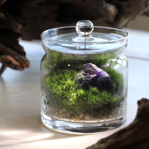 チャーム（charm） （観葉植物）苔テラリウム 鉱石レイアウト