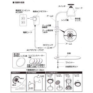 (観葉植物)LED植物育成用ライト付き 苔テラ...の詳細画像5