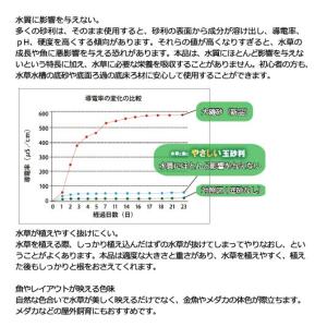カミハタ 水草と魚にやさしい玉砂利 2kgの詳細画像1
