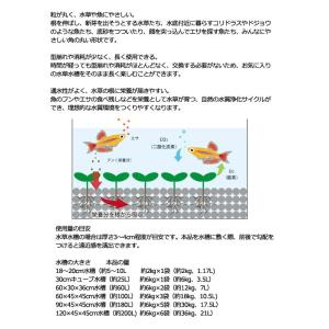 カミハタ 水草と魚にやさしい玉砂利 2kgの詳細画像2