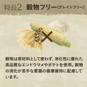 ニュートロ 猫 キャット ワイルド レシピ エ...の詳細画像2