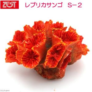 ZOOX 自動給水器 インテリジェント ATO V2 淡水海水 : チャーム