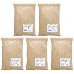 GEX（ジェックス） 国産 広葉樹のトイレ砂 お徳用 1.8L ハムスター