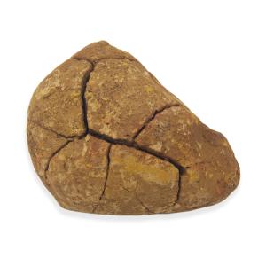形状お任せ　裂甲石　Ｓサイズ（約５〜１０ｃｍ）　１個　レイアウト素材　爬虫類｜chanet