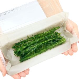 (水草)メダカ・金魚藻 国産 無農薬アナカリス...の詳細画像2